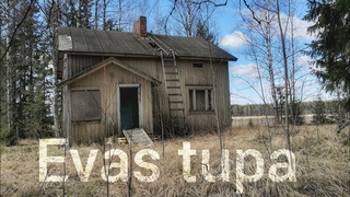 Evs tupa