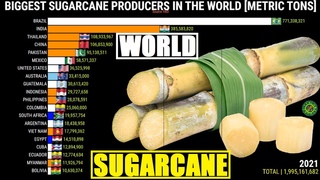 THE LARGEST SUGARCANE PRODUCERS IN THE WORLD