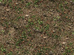 PBR Grass SA7