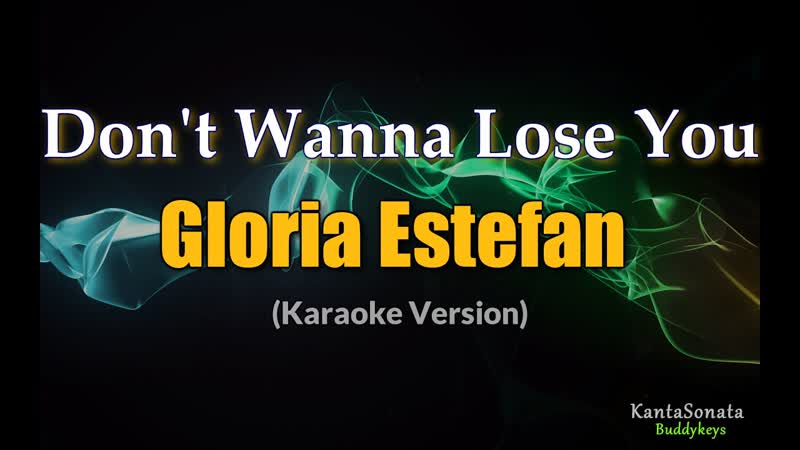 Dont Wanna Lose You ( Gloria Estefan) Karaoke