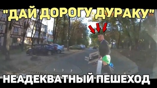 Автоподборка Дай Дорогу ДуракуНеадекватный Пешеход#301