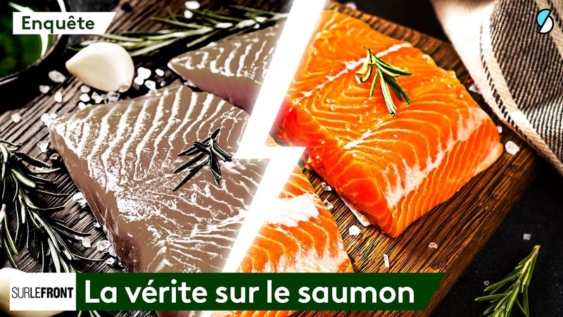 Saumon délevage VS. Saumon sauvage : La grande arnaque Sur Le