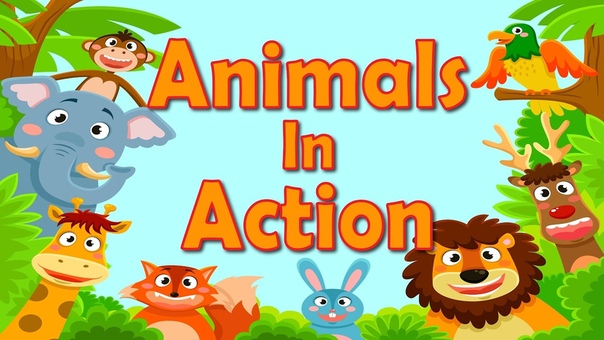 Animals In Action, Brain Body Builders, Exercise Fitness for Kids, Jack