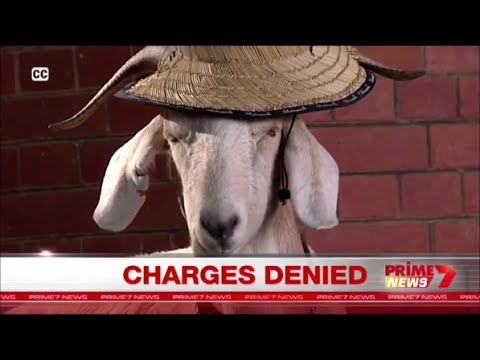 Gary The Goats owner facing charges for serious crimes such as making a joke, and peeing into a