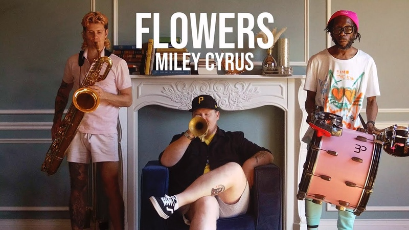 Flowers Miley Cyrus ( Too Many Zooz