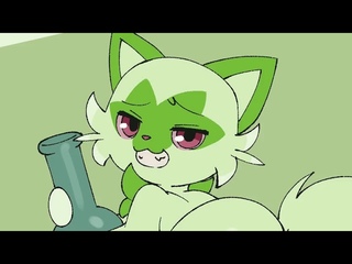 w e e d cat