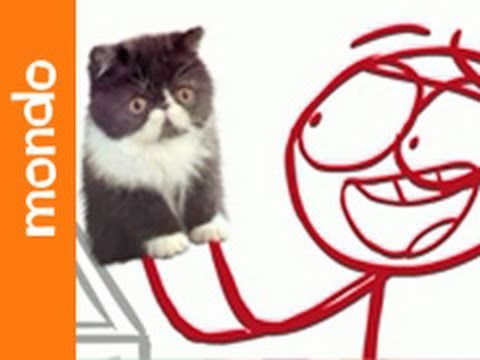 Dick Figures Kitty Amazing ( Ep,
