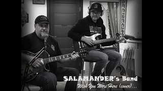 SALAMANDER’s Band | Wish You Were Here (Pink Floyd cover)