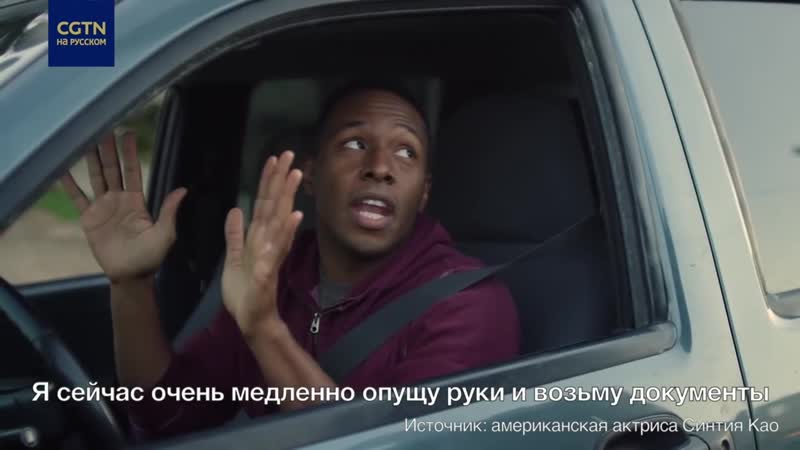 день сурка для