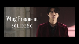 SOLIDEMO / Wing Fragment