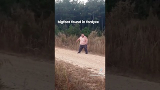 Bigfoot found in fordyce