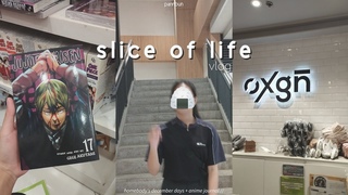 slice of life vlog  december days and anime journal with me.