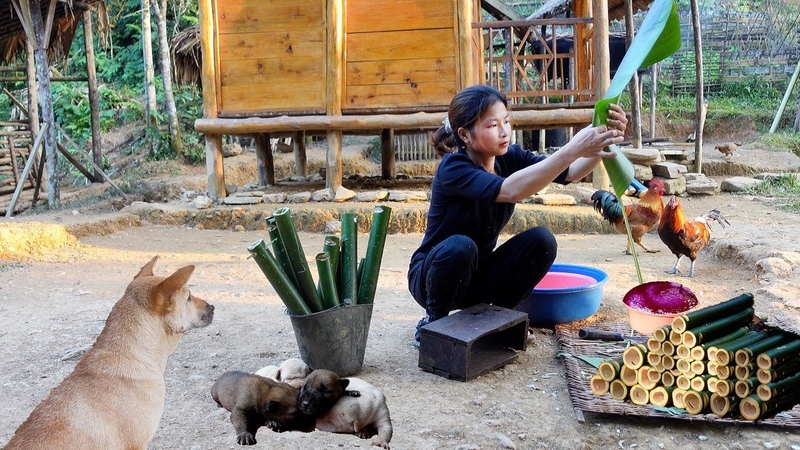 Bamboo tube BBQ: How to make bamboo tube rice delicious Build a farm, Live with nature.