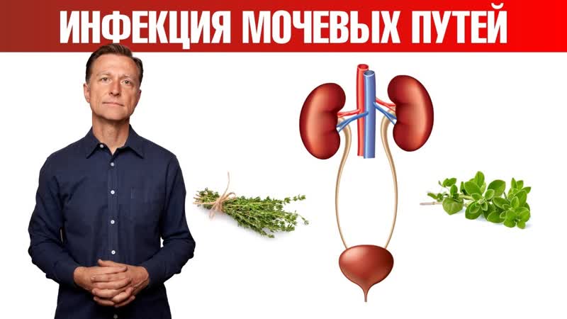 Лучшее натуральное средство при инфекции мочевыводящих