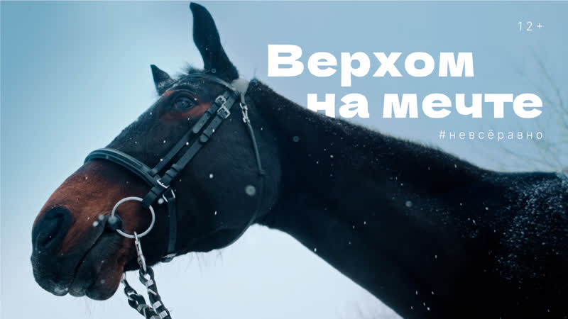 Верхом на