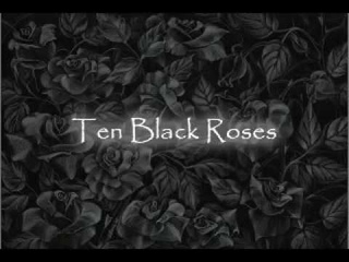 Ten Black Roses Lyrics The Rasmus