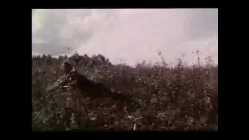 Разбежкина, Марина Яр