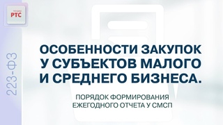 Особенности закупок у СМСП. Порядок формирования ежегодного отчета ()