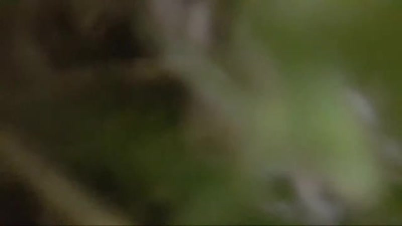 ET Video Content Ich Glaube Bei Mir Ist Eingebrochen