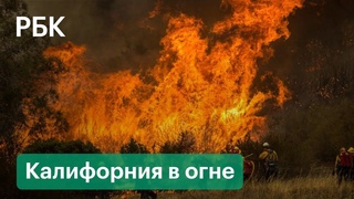 Мегапожар «Дикси» опустошает Калифорнию. Ввели чрезвычайное положение, идет эвакуация