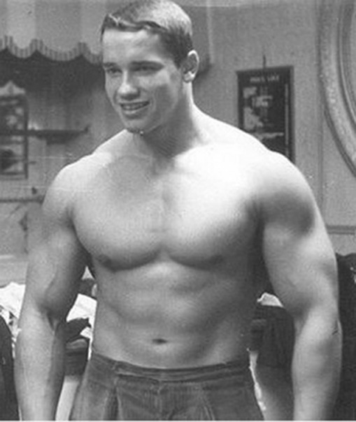 №5, Генрик Белый №5, Генрик Белый