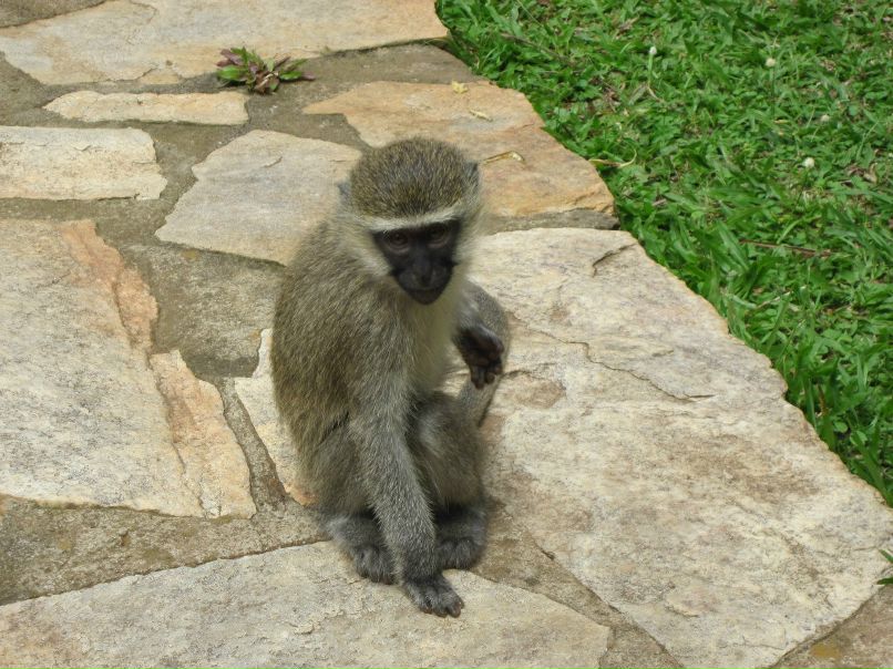 Andre Pablo | Санкт-Петербург