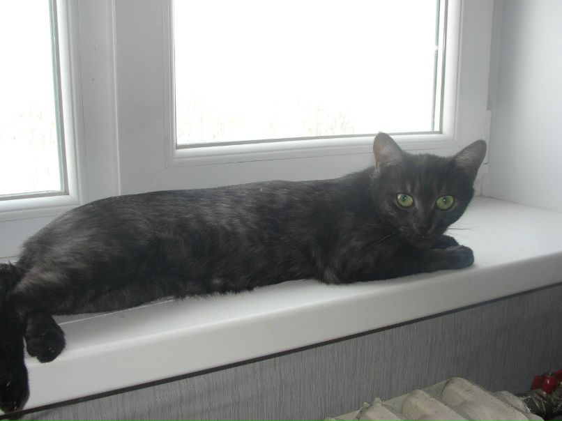 Илья Клеймёнов | Липецк