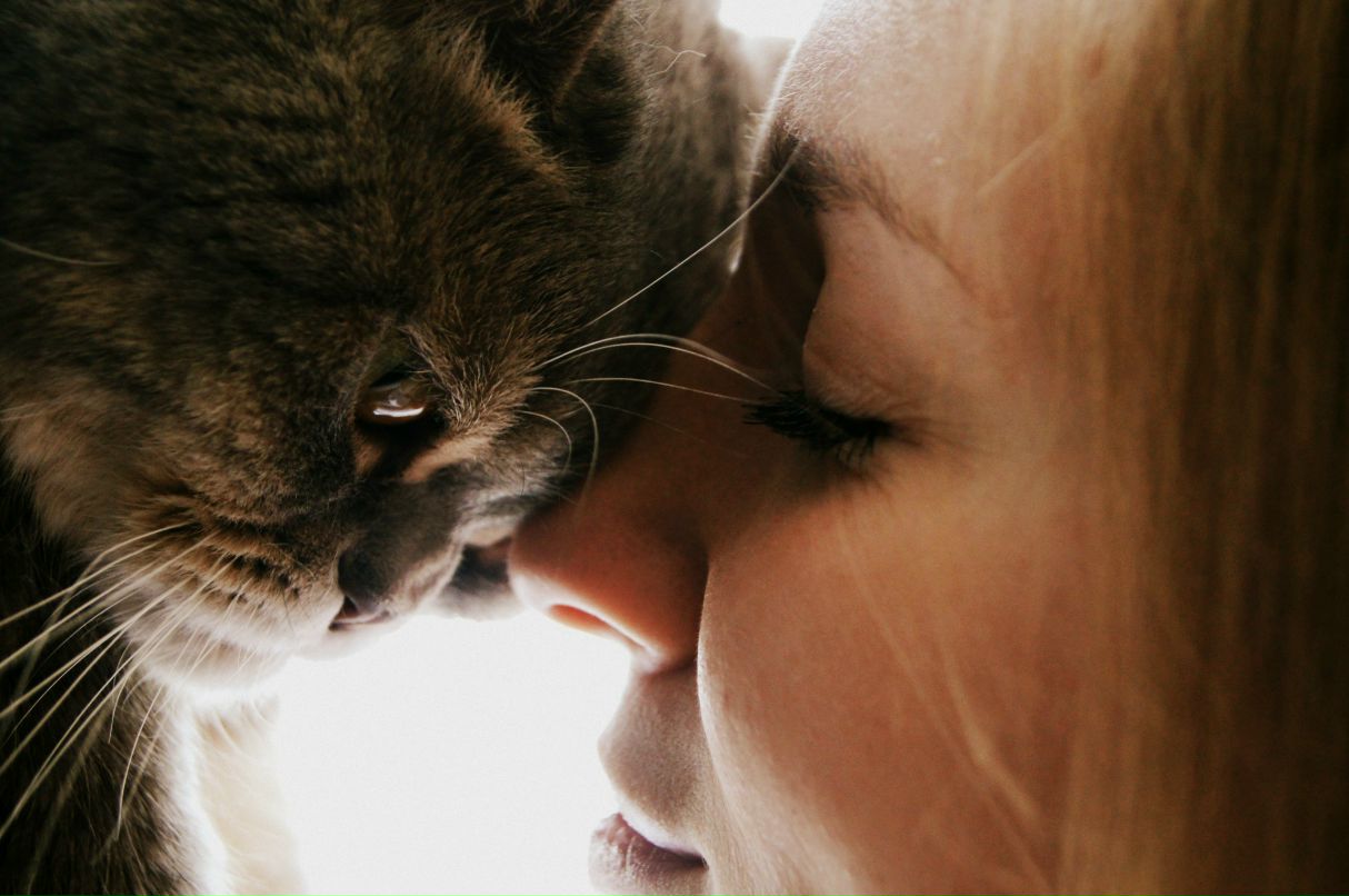 Елена Морозова | Саратов