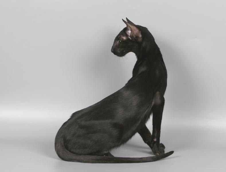 Фотиния Суворова | Великие Луки