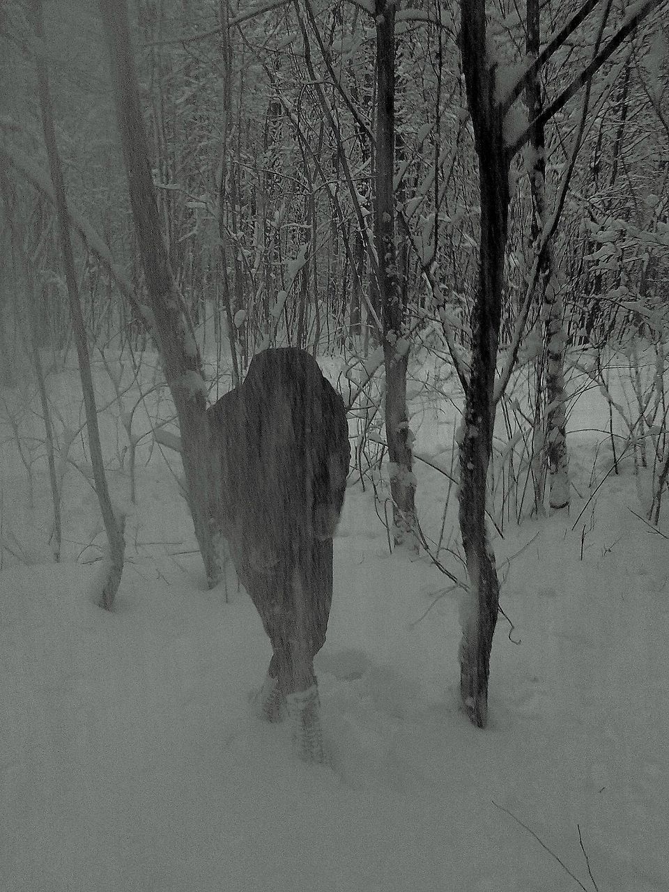 Виолетта Романова | Москва