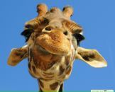 №36 Мария Лукина 22.02: профиль, фото, статус - ВКонтакте