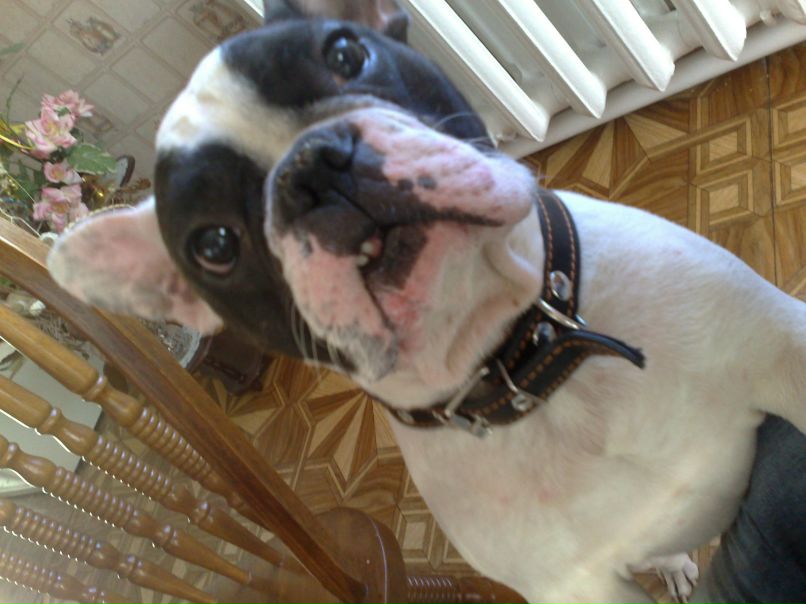 Алиш Москвин Ботя | Якутск