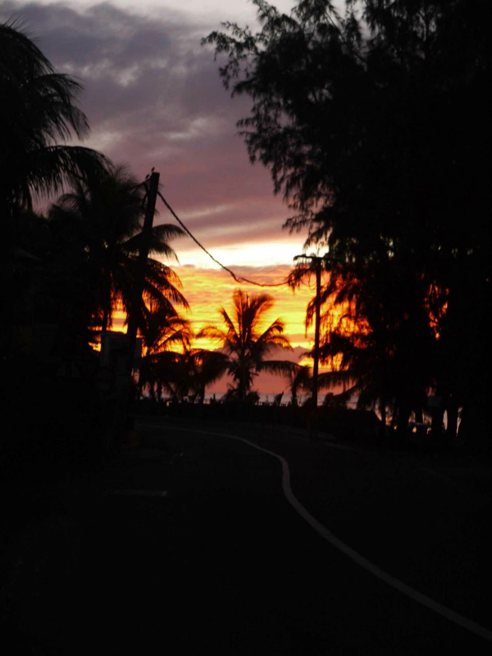 Евгения Фирсова | Москва