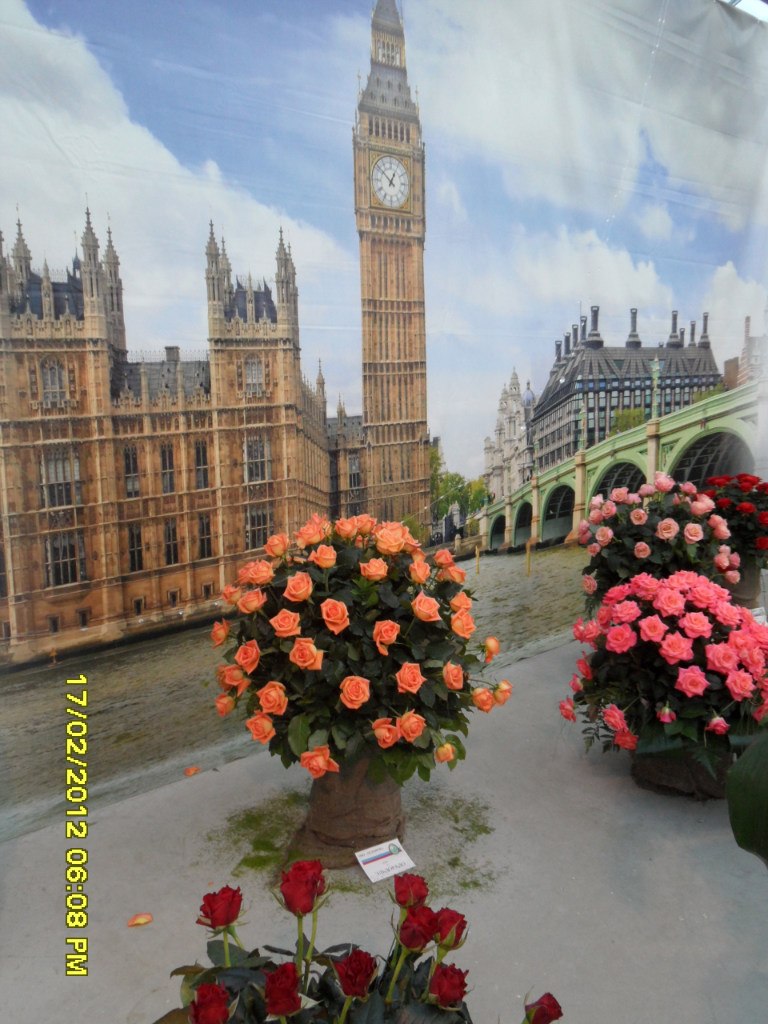 Инна Ахтименко | Калуга