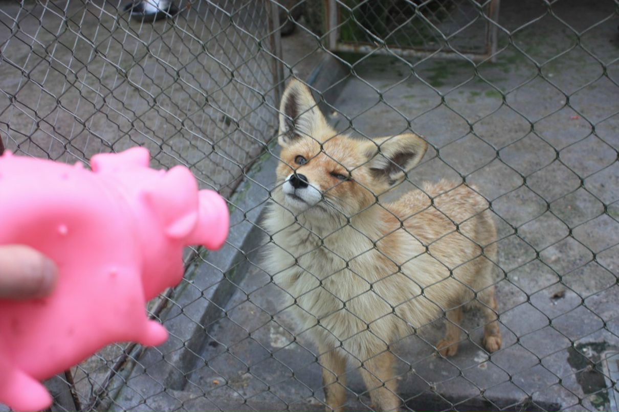 Дмитрий Суслов ☂ | Москва