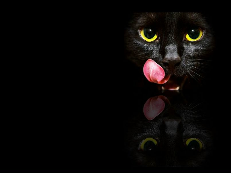 Елена Алексеева | 