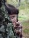 Алена Ухлина фотография #25