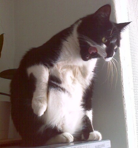 Анастасия Стася | 