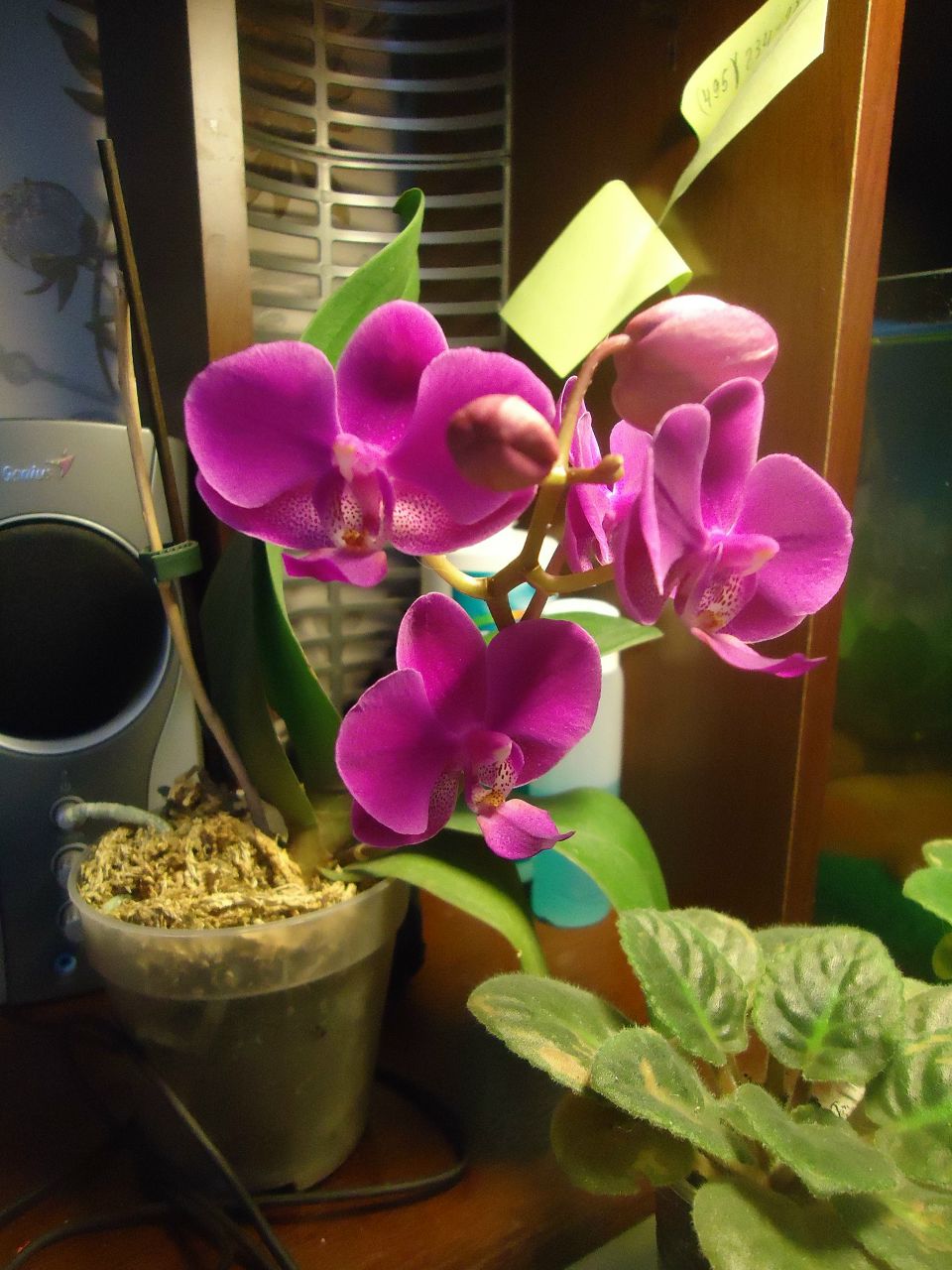 Katya Peskova | Москва