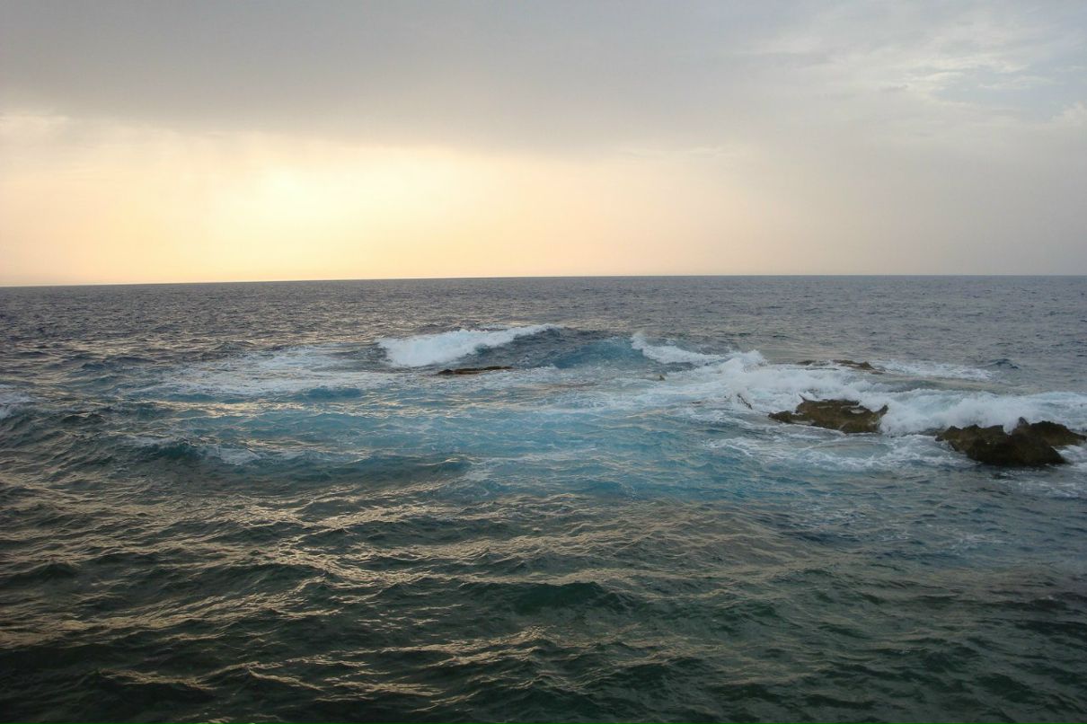 Юрий Чижик | Москва