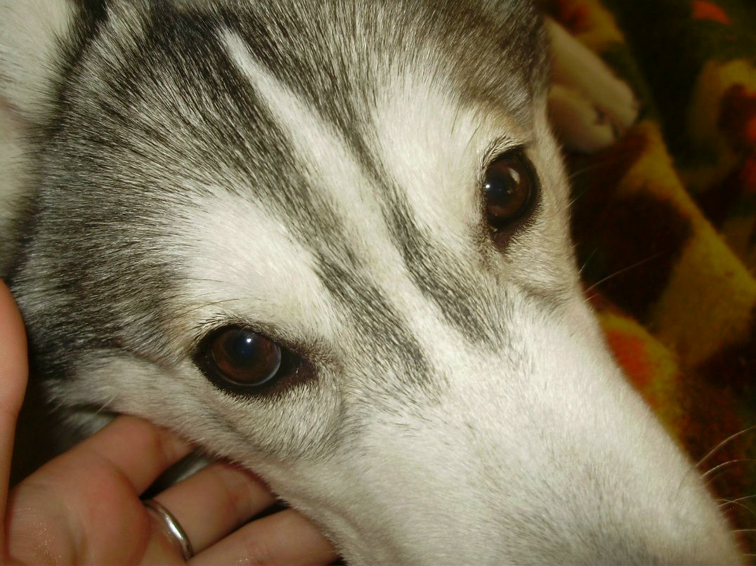 Катерина Платонова | Larnaca