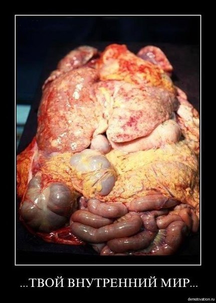 №29, Иван Морозов, 37 лет, Полевской №29, Иван Морозов, 37 лет, Полевской