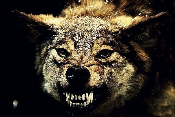 Виктор Александров | Санкт-Петербург