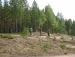 Михаил Камозин фотография #39 (источник - https://vk.com/id82740017)