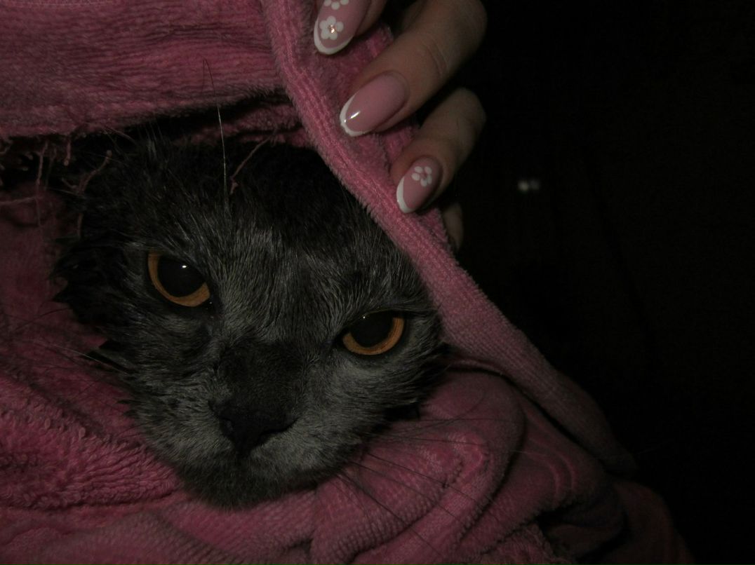 Ирина Цымбал | 