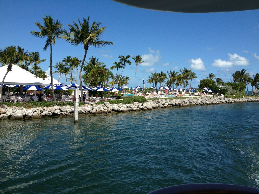 Данила Ильчик | 