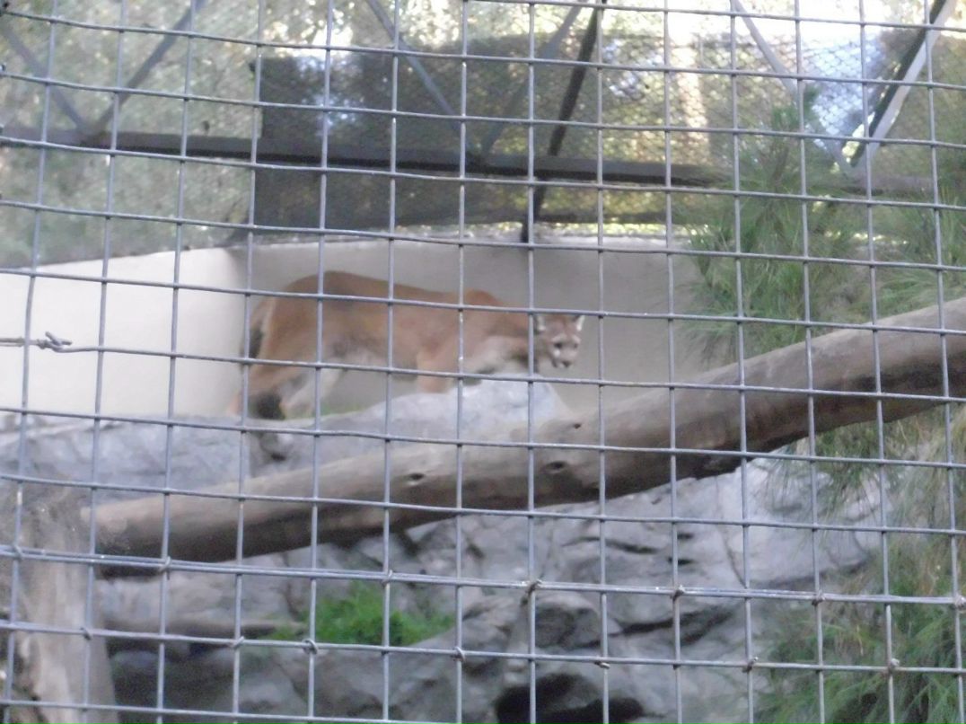 Alexandr Oseev | Magdeburg