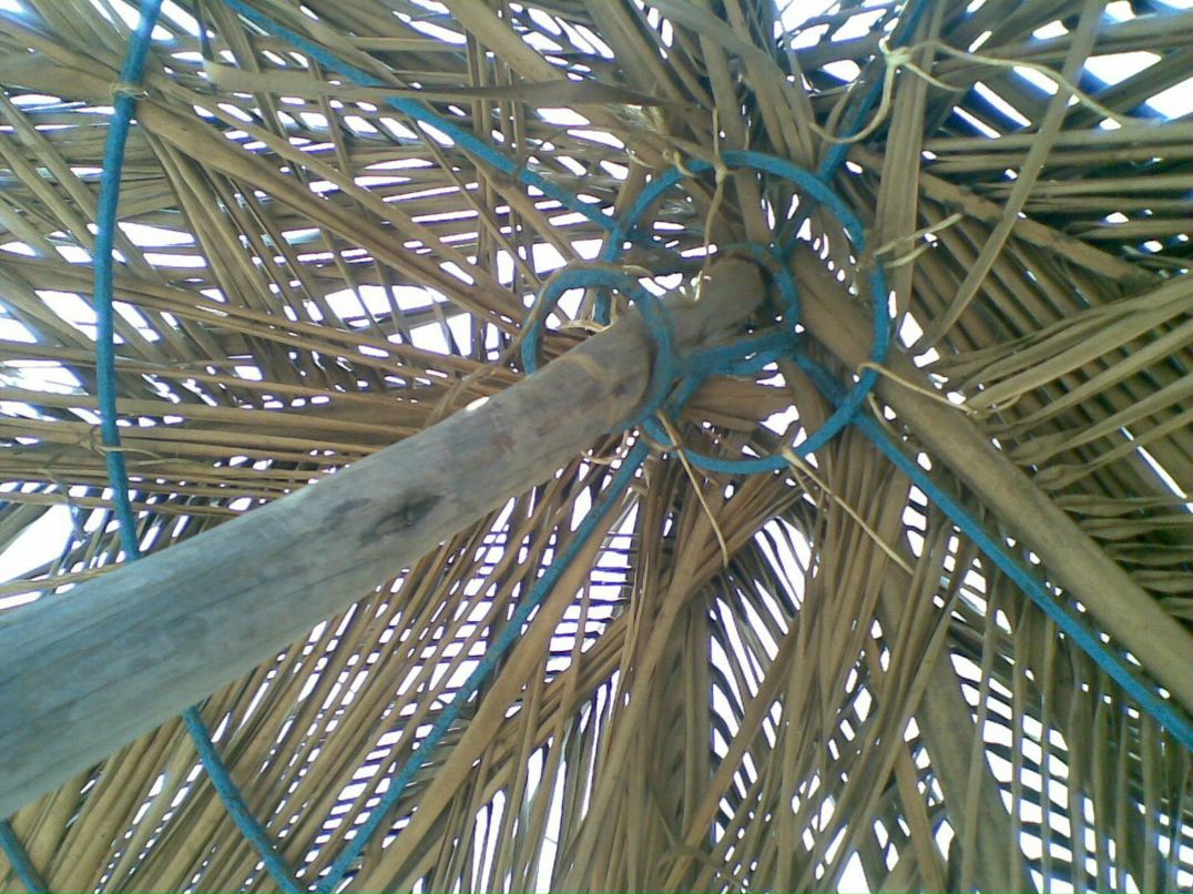 Александра Сашнева | Москва