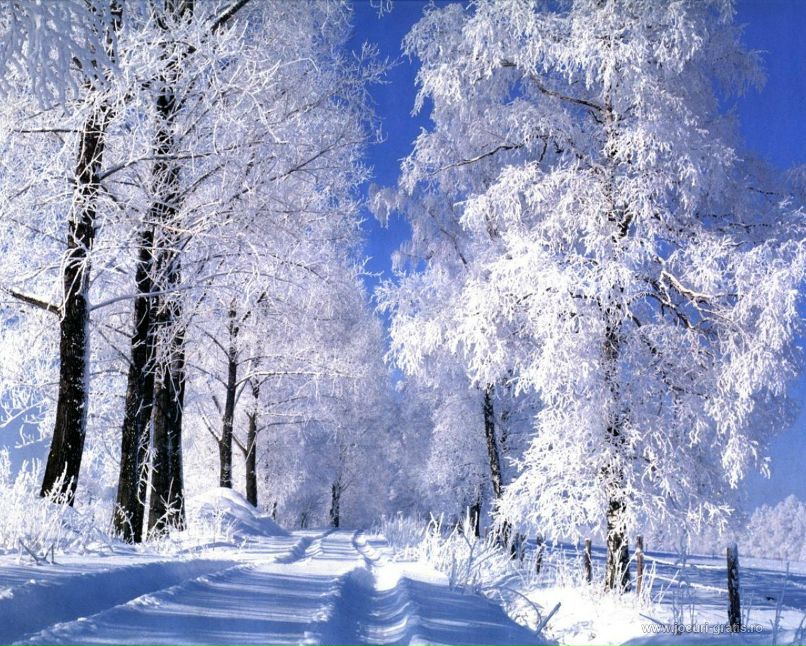 Ирина Данченко | Сортавала