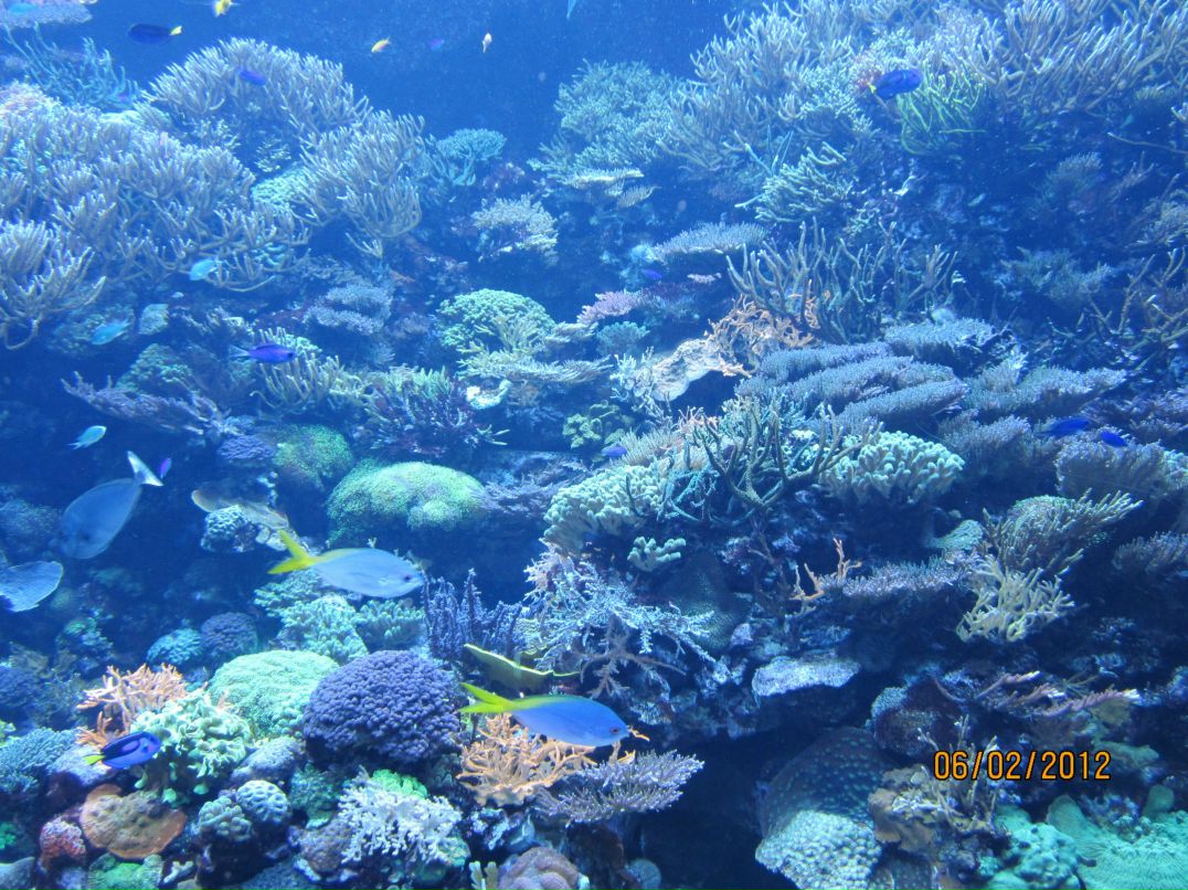 Дмитрий Дайнеко | Екатеринбург